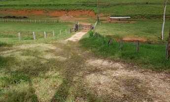 Imagem 7: Belíssima Fazenda em Socorro/SP
