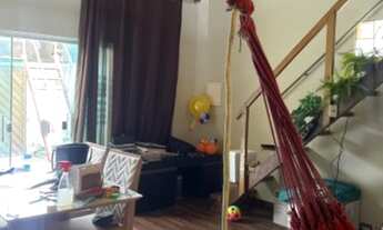 Imagem 6: Vendo CASA por motivo de mudança