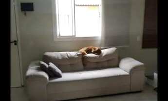 Imagem 2: Casa para venda com 125 metros quadrados com 2 quartos em Vila Formosa - São Paulo