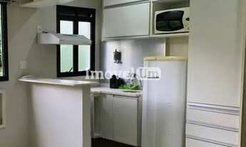 Imagem 3: Laranjeiras Apartamento com 1 dormitório