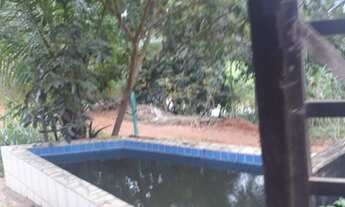 Imagem 7: Terra 6.5 alqueires em Alpercata MG