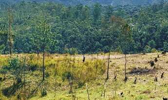 Imagem 2: 05-Terreno para venda com 600 metros quadrados em Centro - Mairiporã - SP