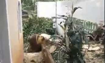 Imagem 7: Casa de 2 andares