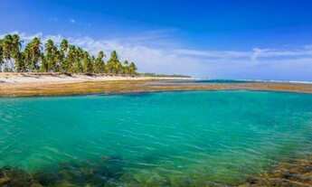 Imagem 2: Venda/Locação belissima casa 6 suites frente mar em praia do Forte