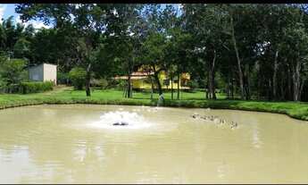 Imagem: Chácara 7 hectares escriturada na guia