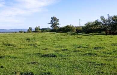 Imagem 5: Fazenda 51 Hectares, santo Antônio da patrulha