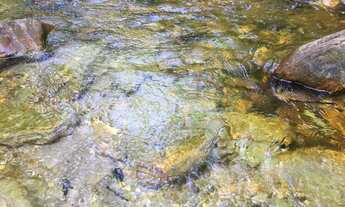 Imagem 3: Chácara, 20.000 m2, até 11 hectares, prox. Pousada Paraíso, córrego translúcido - Pirenópo