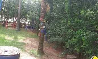 Imagem 4: Chácara aluga-se para finais de semana