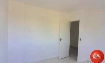 Imagem 7: São Paulo - Apartamento Padrão - Jabaquara