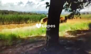 Imagem 2: Fazenda a Venda 402 alqueires -São Carlos - SP