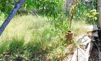 Imagem 3: Vendo Casa com venda por R$55.000