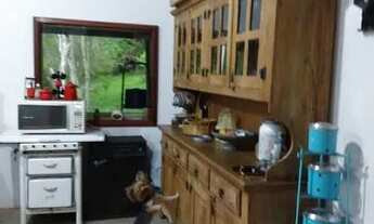 Imagem 3: Sitio de 160.000 metros ouro fino, espaço com piscina, vaca de leite, gado de corte