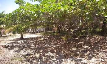 Imagem 5: Vendo terreno em porto de Sauípe