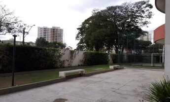 Imagem 4: Apartamento / Padrão - Jardim Augusta - Venda - Residencial