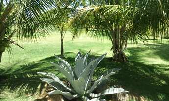 Imagem 6: LOCAÇÃO BELISSIMA CASA PÉ NA AREIA