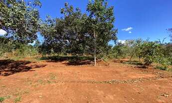 Imagem 3: Terra boa para plantio em Jequitibá Entrada + parcelas de 949,50