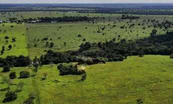 Imagem 4: Fazenda de 721 alqueires em São Miguel do Araguaia-Go