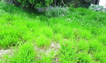 Imagem 4: Terreno residencial à venda, 511 m² - Vintage, Granja Viana