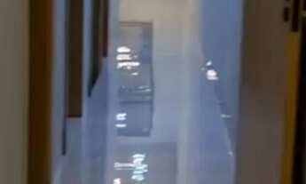 Imagem 3: Alto Padrão Jardim Palmeiras/Financia,!!!