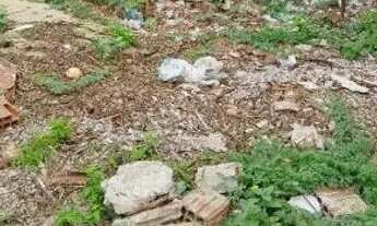 Imagem 2: Vende_se localizado na fazenda tapera