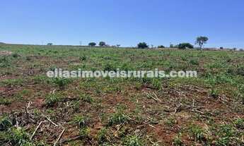 Imagem 5: Área rural 5,37 alqueires - 43 km de Uberlândia