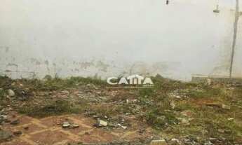 Imagem 5: Terreno para alugar, 240 m² por R$ 5.952,60/mês - Cidade Patriarca - São Paulo/SP