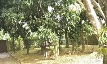 Imagem 3: CHACARA - CHÁCARAS SÃO BENTO - SP