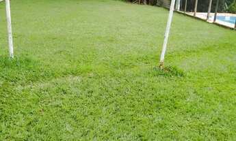 Imagem 5: *Ótima Oportunidade de Adquirir Sua Fazenda dos Sonhos!*