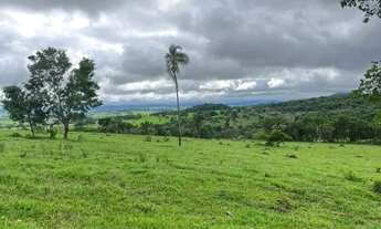 Imagem 5: Chácara à Venda em São Luís de Montes Belos-GO 6 Alqueires