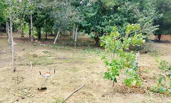 Imagem 3: VENDO Terreno Terreno / lote com venda por R$35.000