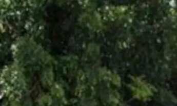 Imagem 3: Essa casa está no valor de 180.000 mil, podemos negociar