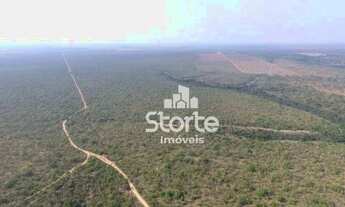 Imagem 6: Fazenda à venda, 1694000 m² por R$ 2.000.000,00 - Área Rural Alvorada do Norte - Alvorada