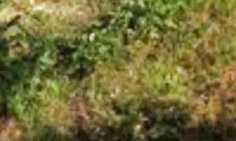 Imagem 7: Lotes em Lapa/PR de 300m² (Boqueirão