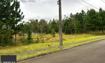 Imagem 5: Terreno em Santa Isabel