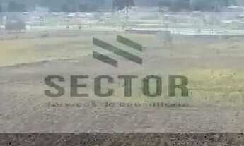 Imagem 4: Terrenos / Lotes / Condomínio na BR 277 - São José dos Pinhais