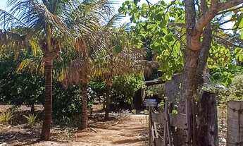 Imagem 7: Chácara 6.000m² - Sitio Recreio Savanah Hidrolândia Chácara à Venda, 6000.00 por R$ 750000