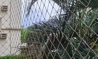 Imagem 3: Apartamento No Condomínio Residencial Piazza Boa Esperança - Venda