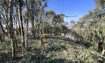Imagem 7: Terreno à venda, 1000 m² por R$ 250.000,00 - Embu - Colombo/PR