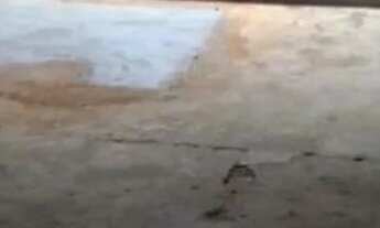 Imagem: Aluga se um galpão