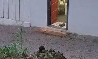 Imagem 2: Casa Mobiliada em Rodeio