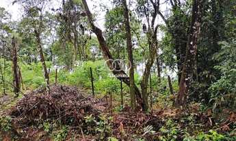 Imagem 4: Lote à venda - Em Macacos!