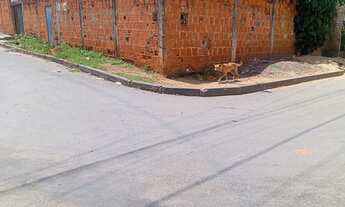 Imagem: Lote De Esquina 150 m²,Com Barracão 82.900.00