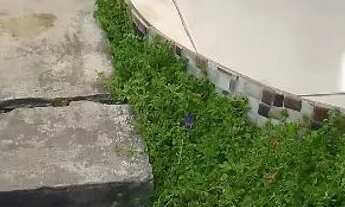 Imagem 2: Casa Quarto com aluguel por R$400 /mês