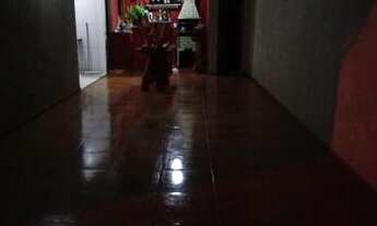 Imagem 4: Alugo casa 3 quartos em Planaltina Góias