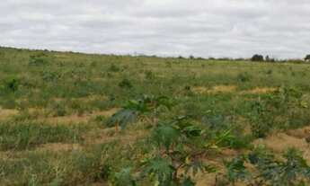 Imagem 4: Fazenda espetacular na Chapada Diamantina( 372 hectares
