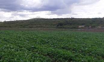 Imagem 2: Fazenda espetacular na Chapada Diamantina( 372 hectares
