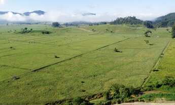 Imagem 7: FAZENDA - 43 HECTARES - 5 km da BR