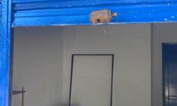 Imagem 3: Loja para aluguel com 60 metros quadrados em Irajá - Rio de Janeiro - RJ