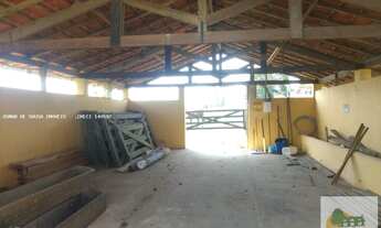 Imagem 6: Fazenda de 42 Alqueires em Itapetininga