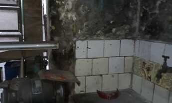 Imagem 4: CASA TÉRREA (PENHA ) PRÓXIMO AO SHOPPING PENHA